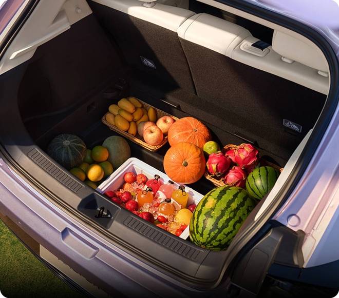 极狐T1是“闭眼入”的最佳选择?澳门新葡京入口10万预算为什么说(图3) 极狐T1是“闭眼入”的最佳选择?澳门新葡京入口10万预算为什么说(图3)